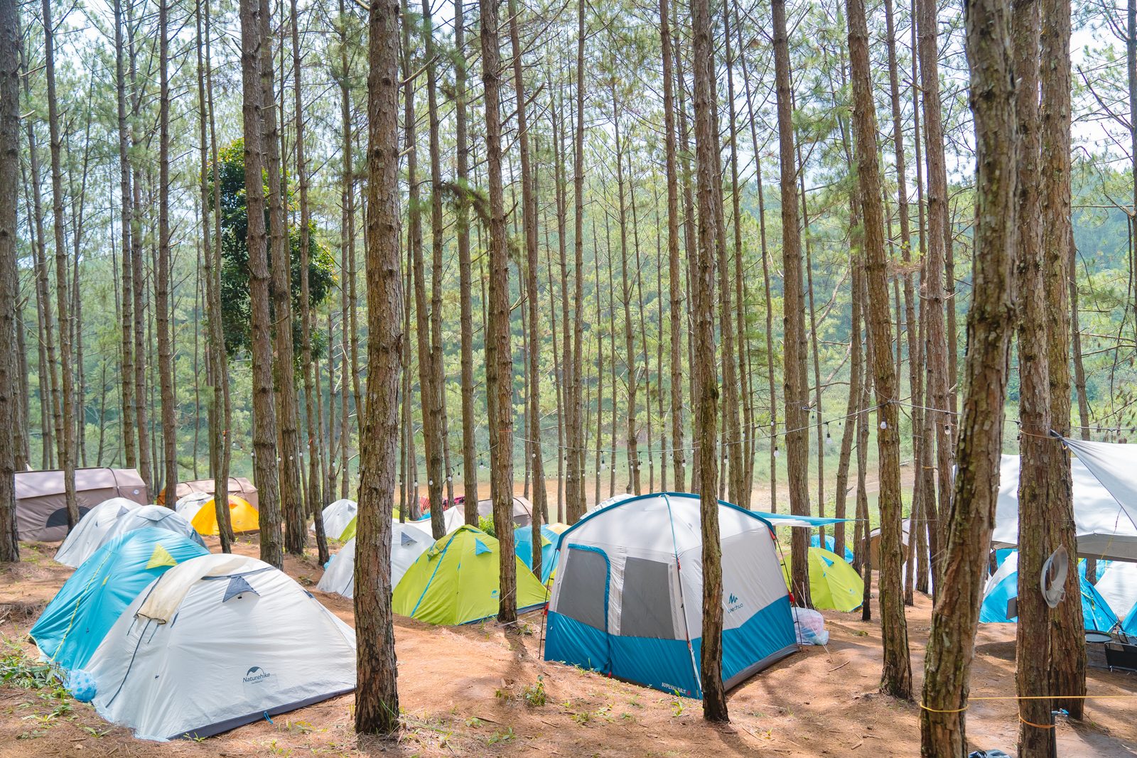 TREKKING – CAMPING — MGM