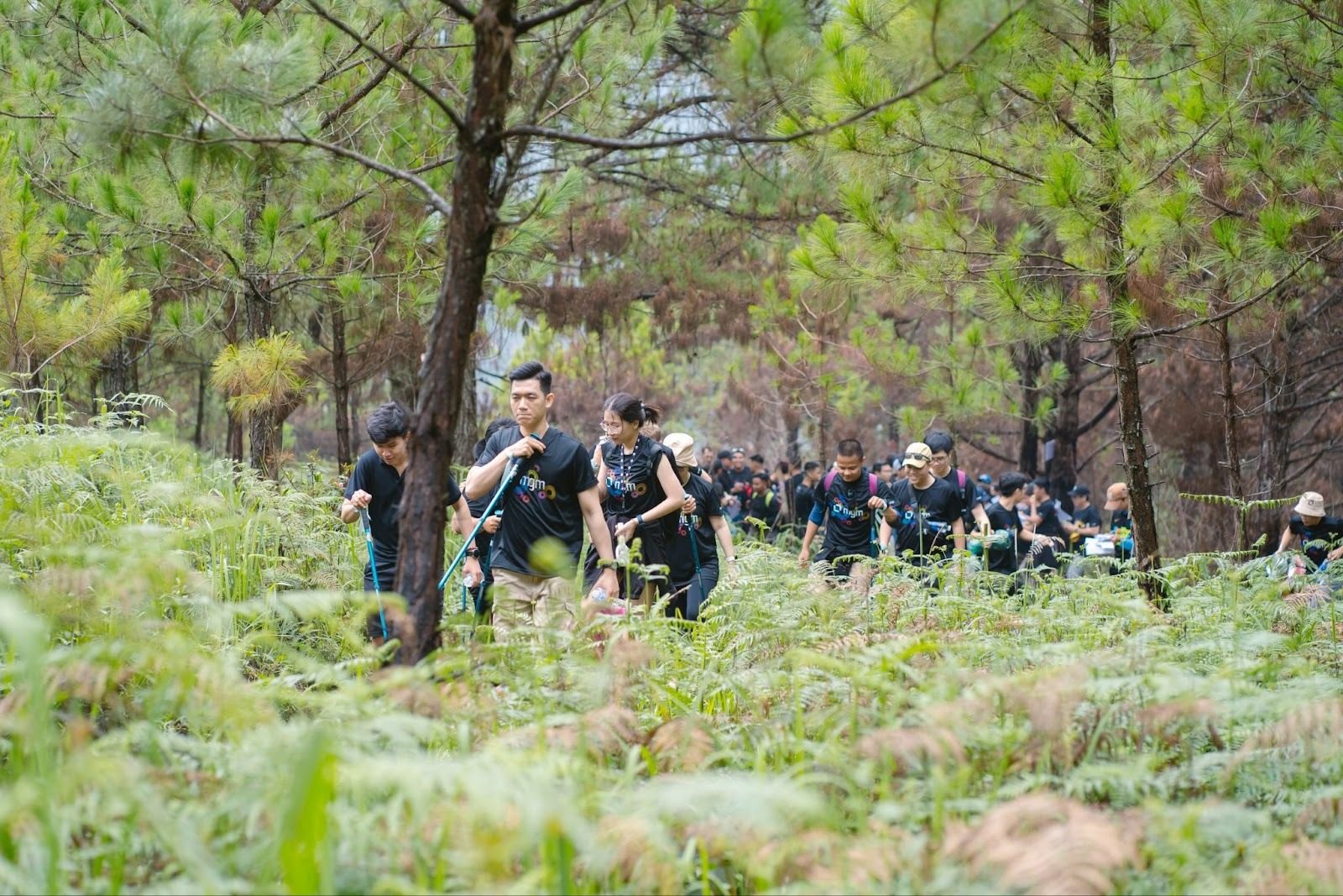 TREKKING – CAMPING — MGM