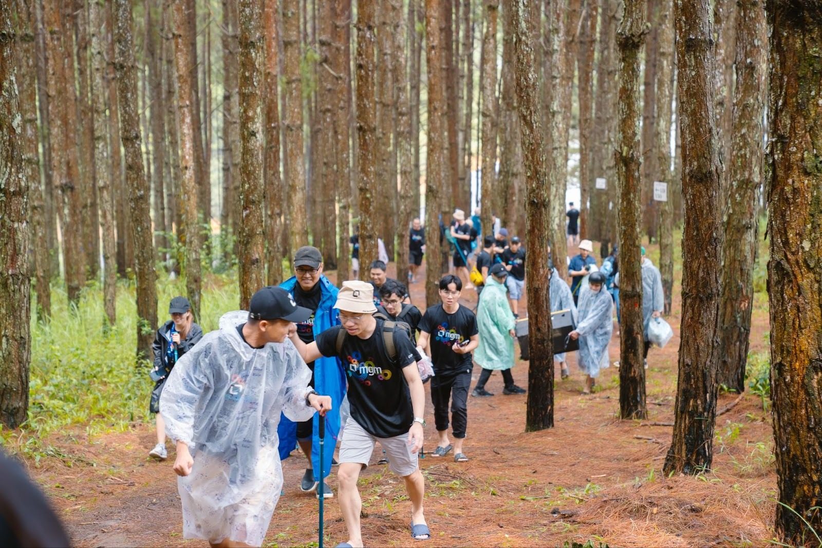 TREKKING – CAMPING — MGM