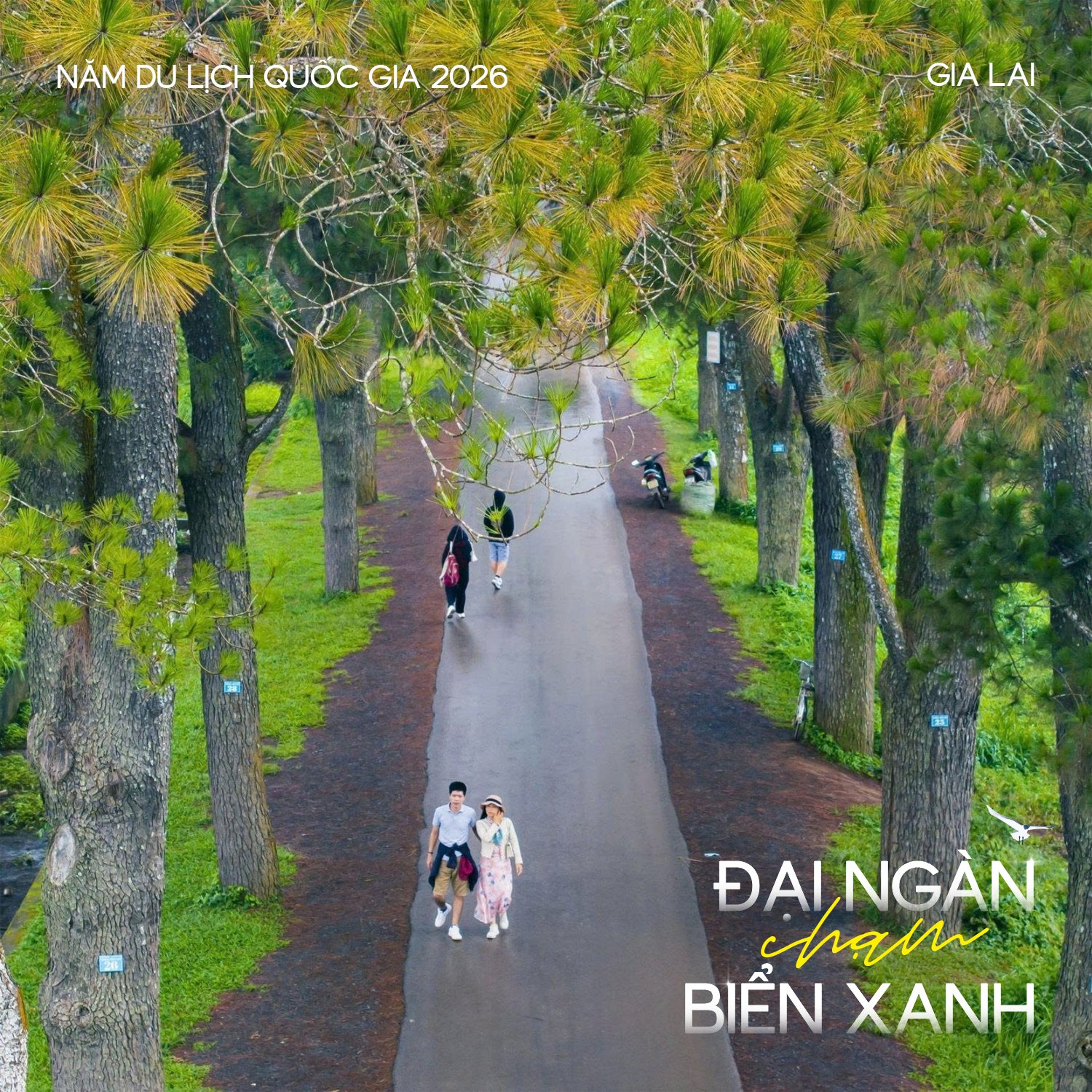 Năm Du lịch Quốc gia 2026: Gia Lai – Đại ngàn chạm biển xanh — 4
