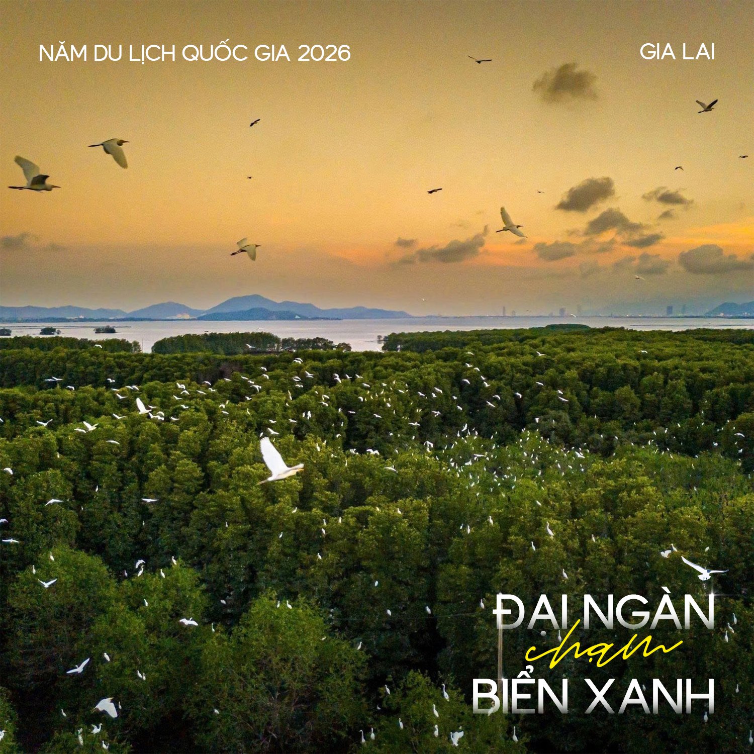 Năm Du lịch Quốc gia 2026: Gia Lai – Đại ngàn chạm biển xanh — 5